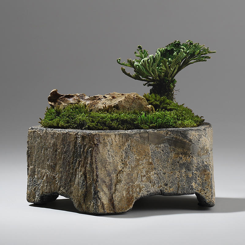 وعاء زهور من الحجر البازلتي ال - مراجعة Bonsai Garden Chinese Garden وسعره