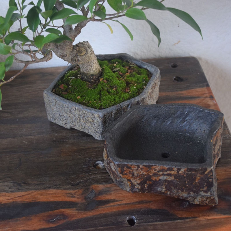 وعاء زهور من الحجر البازلتي ال - مراجعة Bonsai Garden Chinese Garden وسعره