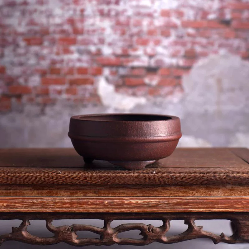 وعاء بونساي دائري من السيراميك - مراجعة Bonsai Garden Chinese Garden وسعره
