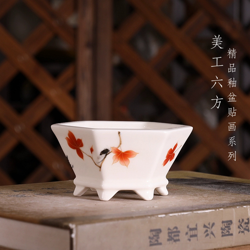 وعاء بونساي سداسي الشكل من الب - مراجعة Bonsai Garden Chinese Garden وسعره